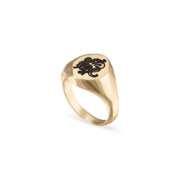 Seven Deadly Sins Signet Ring – lelasophiajewelry